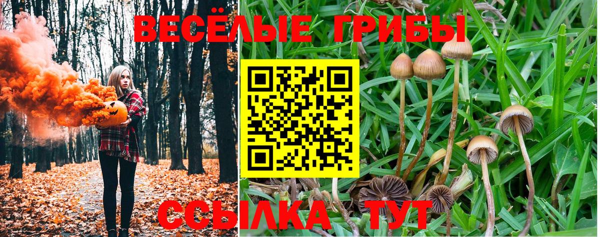 купить закладку  Вход с VPN  Архангельск  Галлюциногенные грибы Magic Shrooms  Галлюциногенные грибы ЛСД 